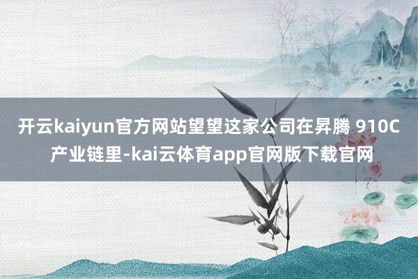 开云kaiyun官方网站望望这家公司在昇腾 910C 产业链里-kai云体育app官网版下载官网