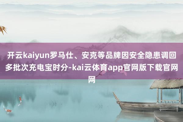 开云kaiyun罗马仕、安克等品牌因安全隐患调回多批次充电宝时分-kai云体育app官网版下载官网