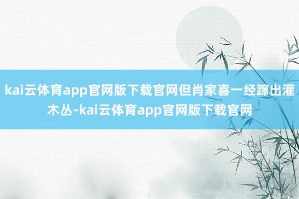 kai云体育app官网版下载官网但肖家喜一经蹿出灌木丛-kai云体育app官网版下载官网